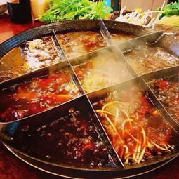 九肴涮 以良心為本，用美味與健康滋養每一刻